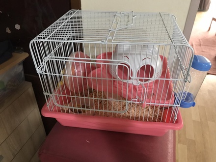 cage with hamster